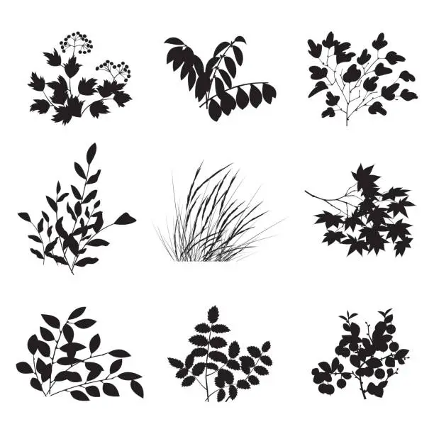 Vector illustration of Set of leaves and black branches on a white background. Cartoon leaf collection in flat style