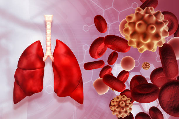 istock Human lungs anatomy on coronavirus background 1500231873