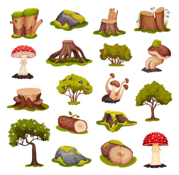 Vector illustration of Forest Objects with Tree, Stump, Bush, Mushroom and Mossy Stone Big Vector Set