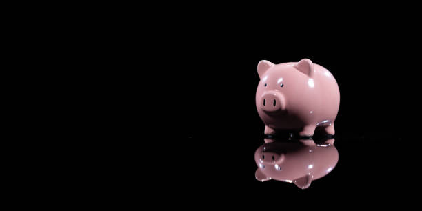 sparschwein - pig currency savings piggy bank stock-fotos und bilder