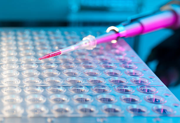 istock Tools for PCR amplification of DNA 150023555