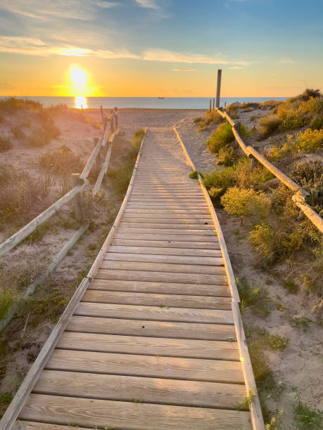 istock Wooden path access in sand dunes beach at sunset- Spain 1500237961