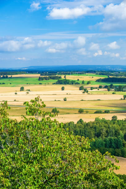 istock Lush green tree branches in a agriculture landscape 1500238275