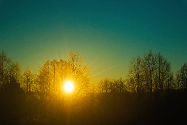 Beautiful background with natural sunlight.