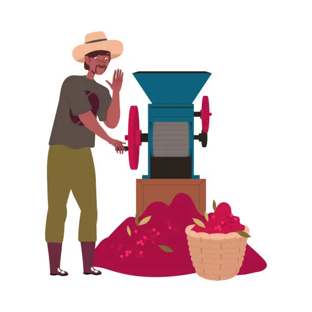 Vector illustration of Man in Hat Hulling Coffee Crop in Machine Vector Illustration