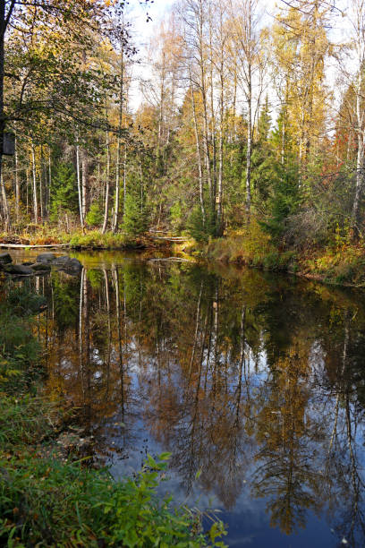 istock Autumn forest landscape with lake. 1500244275