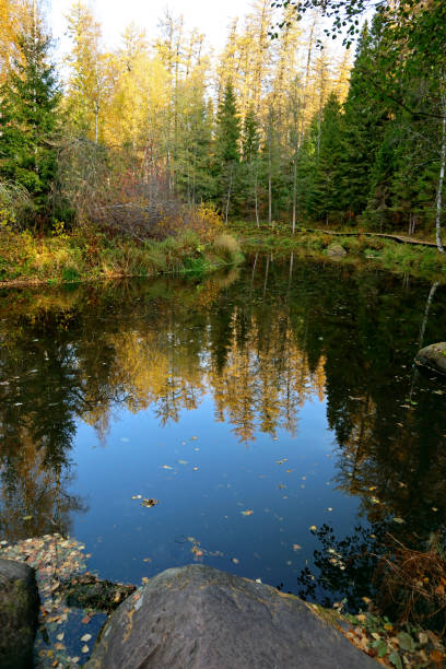 istock Autumn forest landscape with lake. 1500244284