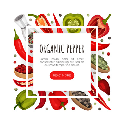 Organic Pepper Banner Design with Savory Vegetable and Condiment Vector Template. Paprika and Chili Ingredient and Spice for Culinary