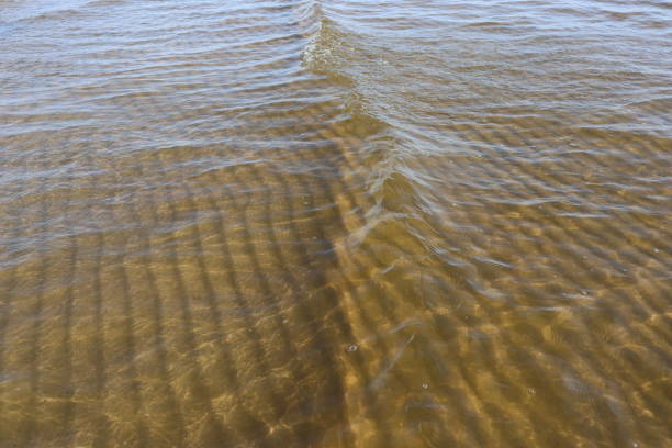 istock Transparent wave on sea water with sun glare and ripples on sand bottom. 1500249932