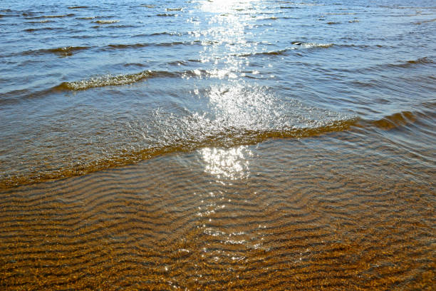 Waves and gritty surface texture created a pattern of dunes on the  floor of sea beach.