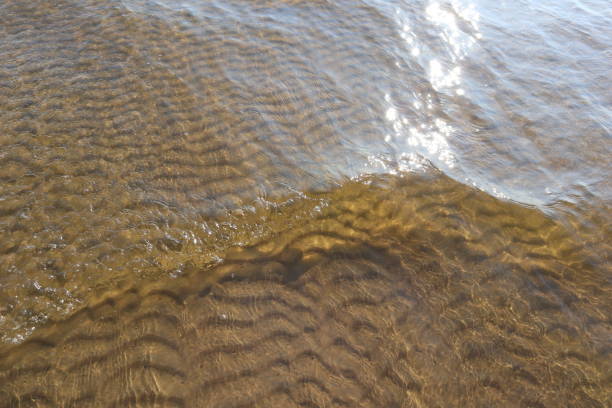 istock Transparent wave on sea water with sun glare and ripples on sand bottom. 1500250738