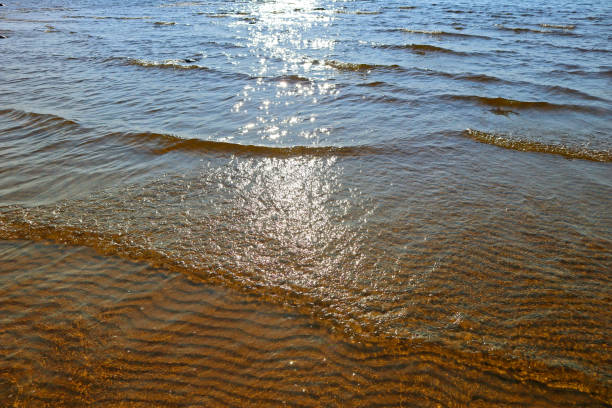 Sea waves and gritty surface texture created a pattern of dunes on sand of seabed.