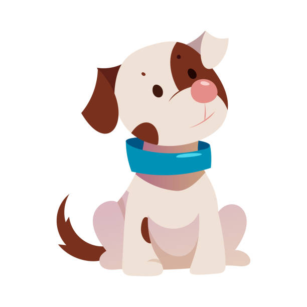 ilustrações de stock, clip art, desenhos animados e ícones de cute puppy with brown spot and blue collar in sitting pose vector illustration - dog spotted purebred dog kennel