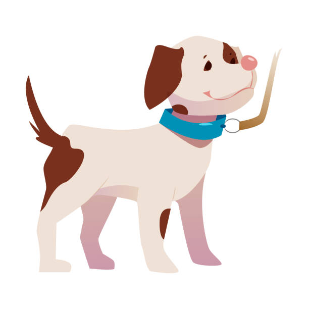 симпатичный щенок с коричневым пятном и синим ошейником, ведущий векторную иллюстрацию на поводке - dog spotted purebred dog kennel stock illustrations