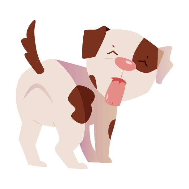 ilustrações de stock, clip art, desenhos animados e ícones de cute puppy with brown spot showing tongue vector illustration - dog spotted purebred dog kennel