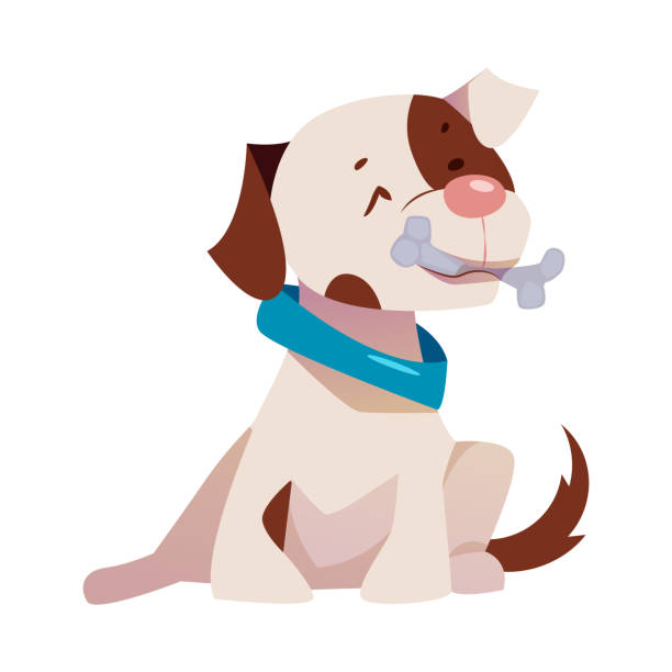 симпатичный щенок с коричневым пятном и синим воротничком, сидящий с векторной иллюстрацией кости - dog spotted purebred dog kennel stock illustrations