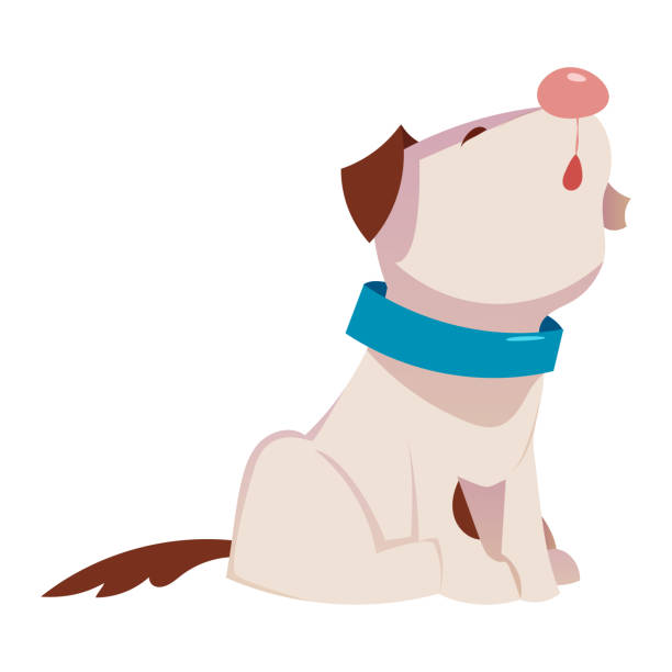 ilustrações de stock, clip art, desenhos animados e ícones de cute puppy with brown spot and blue collar yawling vector illustration - dog spotted purebred dog kennel