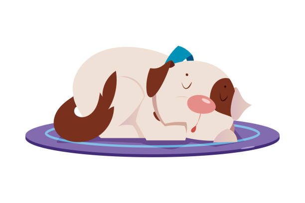 ilustrações de stock, clip art, desenhos animados e ícones de cute puppy with brown spot and blue collar sleeping vector illustration - dog spotted purebred dog kennel