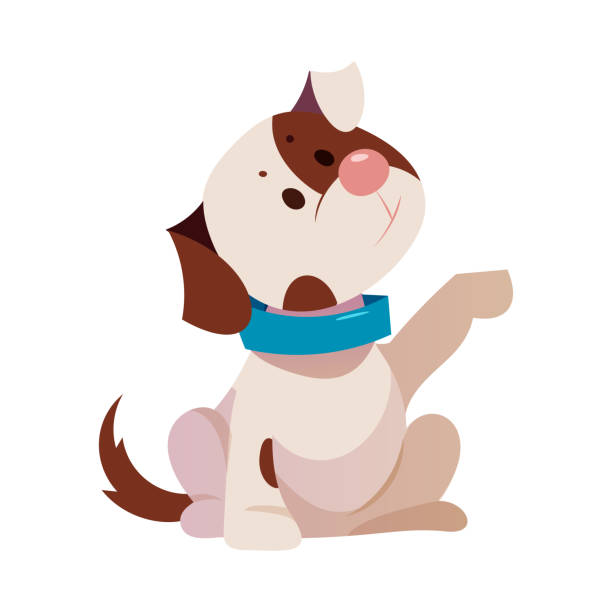 ilustrações de stock, clip art, desenhos animados e ícones de cute puppy with brown spot and blue collar giving paw vector illustration - dog spotted purebred dog kennel