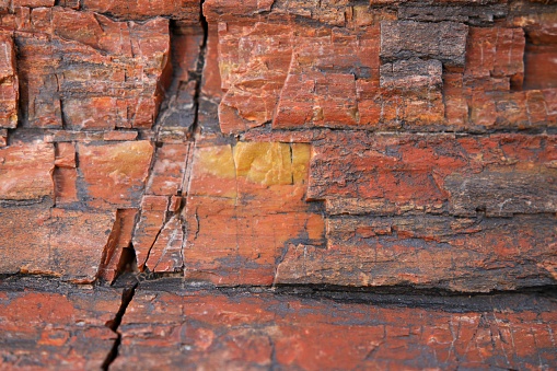 Close-up of a rocky canyon wall with detailed crevices and cracks throughout the surface