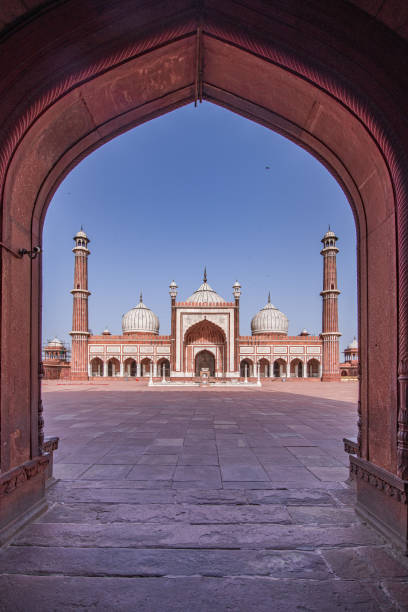 la mosquée jama masjid - india delhi old delhi mosque photos et images de collection