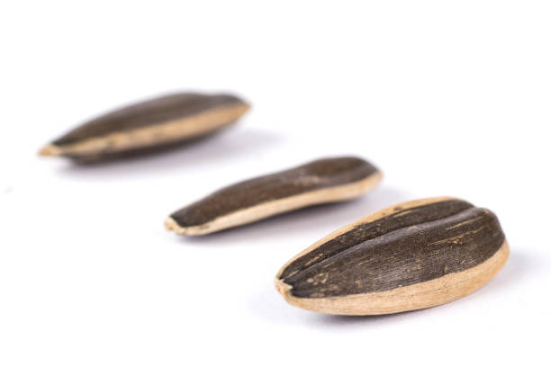 istock Black sunflower seeds in a bowl on white background 1500258986