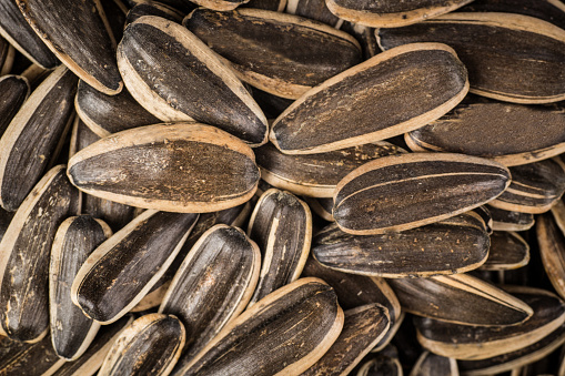 Black sunflower seeds in a bowl on white background