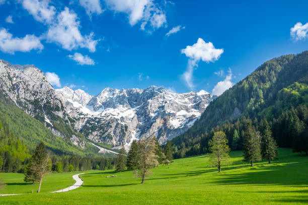 istock Zgornje Jezersko valley view during springtime 1500259706