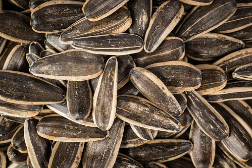 Black sunflower seeds in a bowl on white background