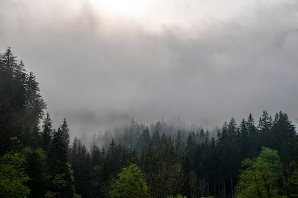 istock Clouds over the forest in the Zgornje Jezersko valley view during springtime 1500260896