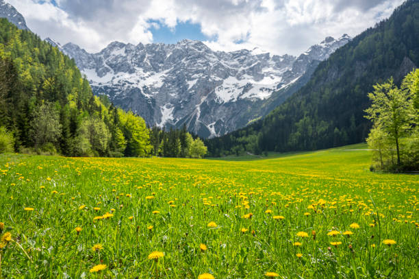 istock Zgornje Jezersko valley view during springtime 1500260945