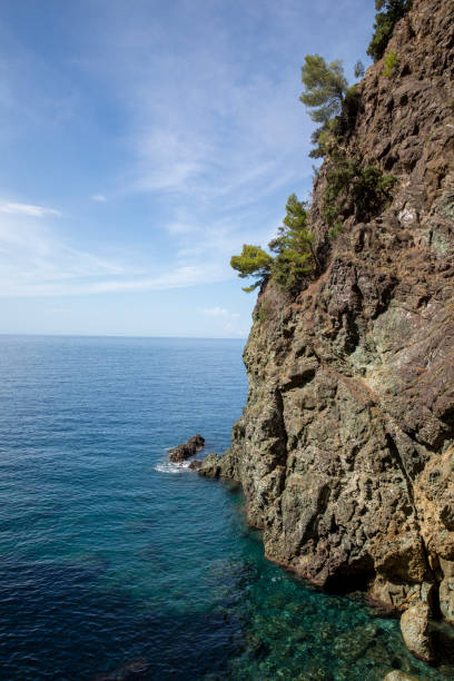 istock Cliff overlooking the calm sea with trees. Blue sky 1500264730