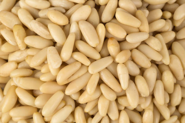 istock Heap of pine nuts isolated on white background 1500266154