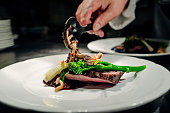 Venison