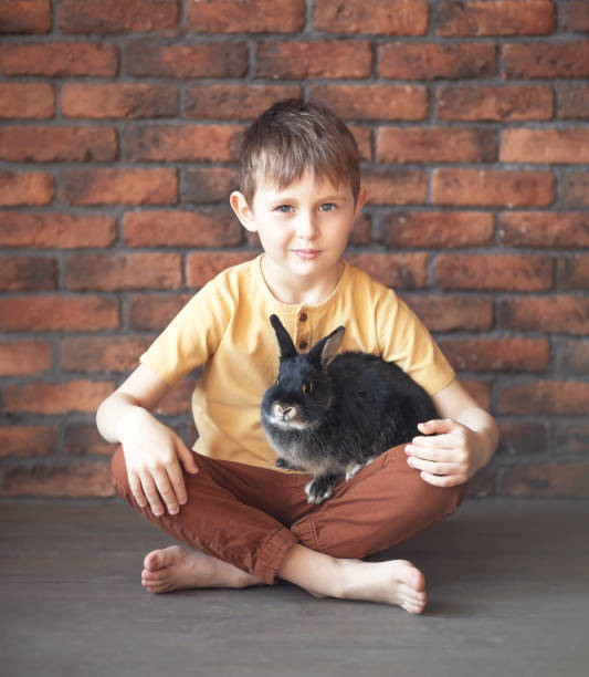 istock boy of primary school age sitting and holding a black rabbit 1500291304