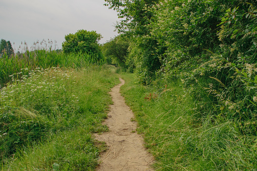 A well-trodden sandy path leading into dense bushes, walks outside the city