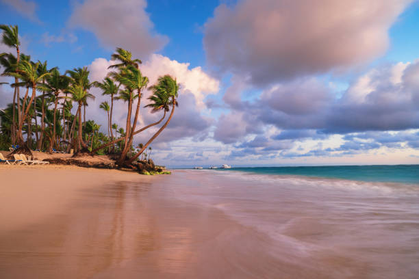 istock Palm tree and tropical beach at sunset or sunrise with dramatic clouds 1500303177