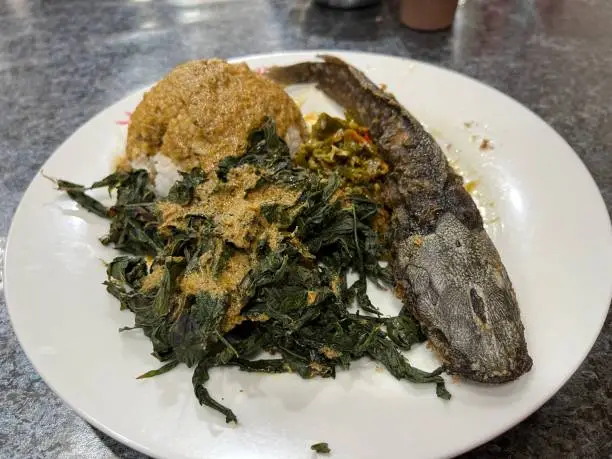 Photo of A plate of Nasi Padang with fried cat fish and chili paste