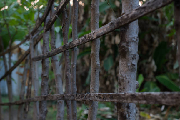 istock Fences that are not sturdy and weathered 1500304782