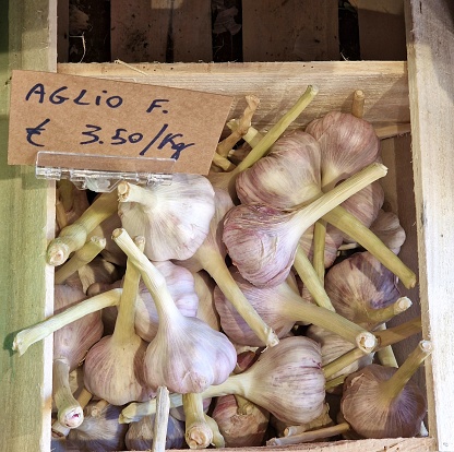 Wooden crate of fresh Italian garlic with small sign indicating price