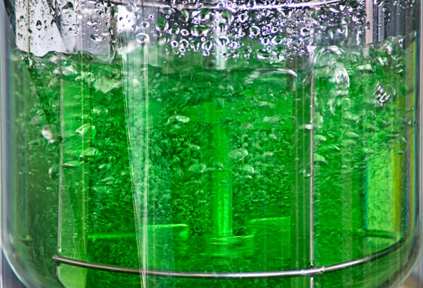 Process in which microorganisms generate industrial bioproducts