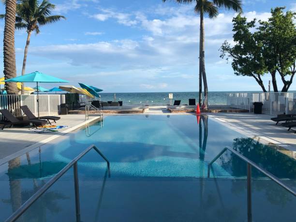 istock Picturesque pool surrounded by lush palm trees providing ample shade. 1500306726