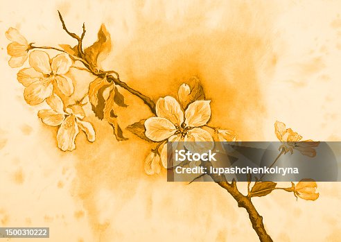 istock illustration watercolor landscape flowering apple tree branch in sepia 1500310222