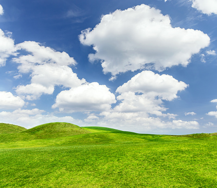 A picturesque summer landscape featuring a lush green grass field stretching under a blue sky with scenic clouds