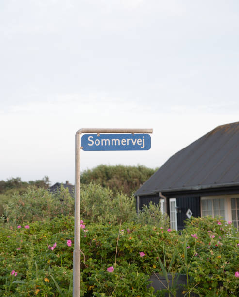 istock The beautiful Danish Western coast 1500331906