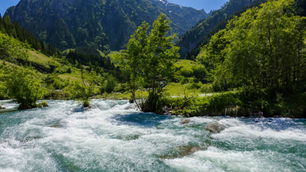 istock Sunny day and river flowing through the mountains 1500338321