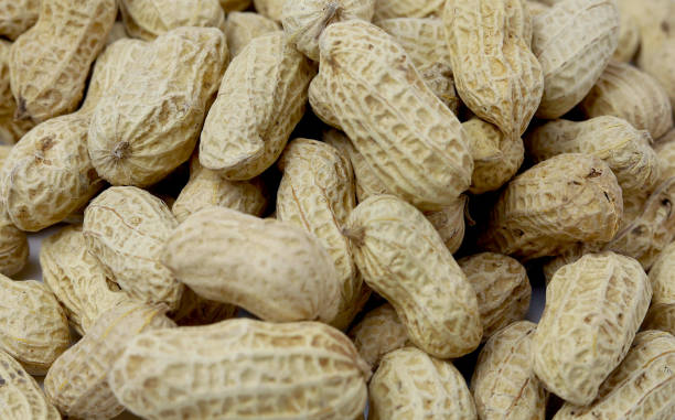 istock Bunch peanuts on a white background close-up. Macro photography of peanuts. 1500340979