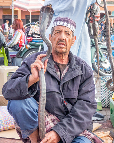 Egyptian Cobra being held up by a Snake Charmer at Djemma el Fna Square in Medina District of Marrakesh, Morocco