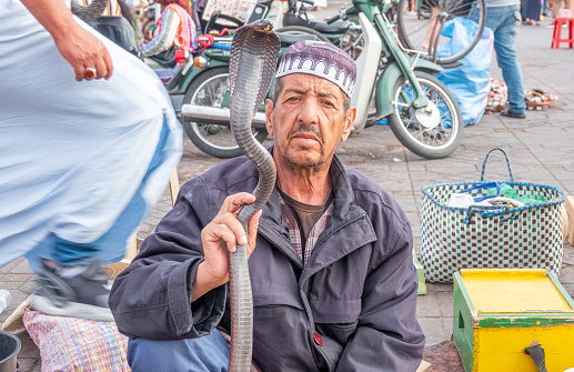 An Egyptian Cobra with an elderly male Moroccan Snake Charmer at Djemma el Fna Square in Medina District of Marrakesh, Morocco