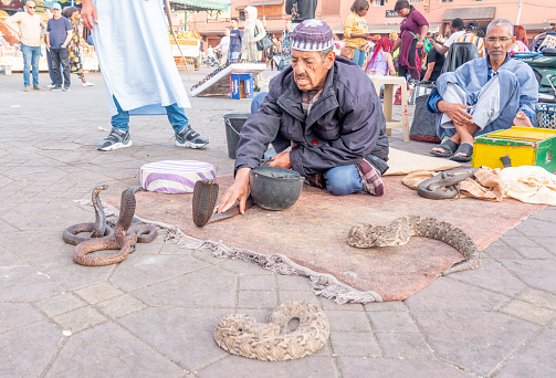 A few Snake Charmers at Djemma el Fna Square in Medina District of Marrakesh, Morocco, with cobras and adders.